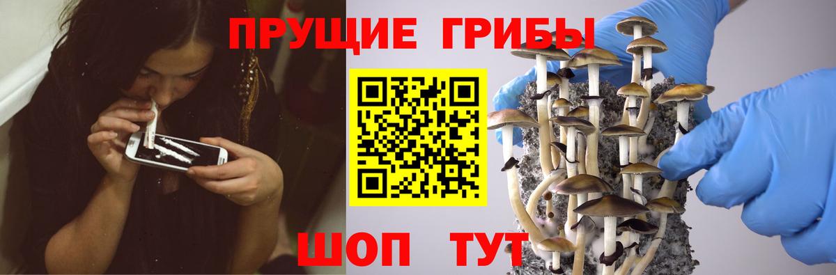 Волгоград  Галлюциногенные грибы Psilocybe  Вход с VPN  Псилоцибиновые грибы мицелий 